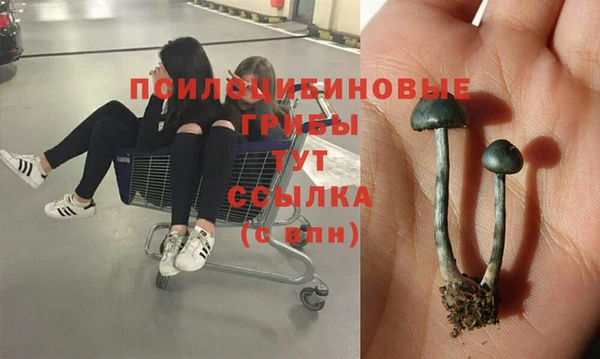 МДМА Арсеньев
